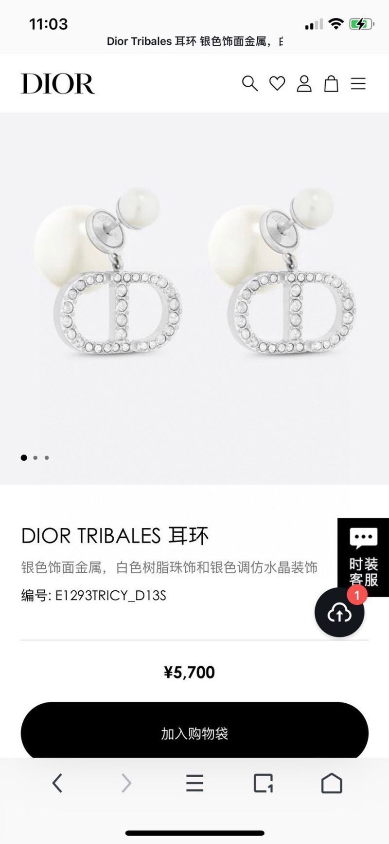 Christian Dior Earrings